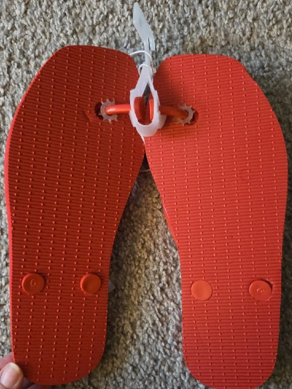 Shade & Shore Red Palmer Gingham Flip Flop Sandals Size 6 NWT